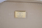 Chanel 22C Metallic Mermaid Ombre Pink Mini Wallet Flap Bag GHW ES7