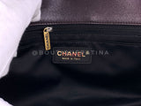 Chanel 14A Paris Dallas Metiers D'Art Pony Hair Flap Bag GHW QM2