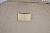 Chanel Metallic Mermaid Ombre Pink Mini Wallet Flap Bag GHW ES7