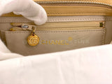 Chanel 1994 Vintage Tortoise CC Logo Crossbody Mini Bag 11B