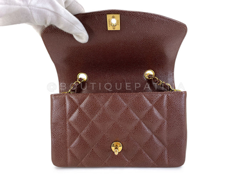 Chanel 1994 Vintage Brown Caviar Small Diana Flap Bag 24k GHW SDC