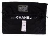 Rare Chanel 2013 Ombre "Himalayan" Crocodile Evening Clutch Bag 3RI