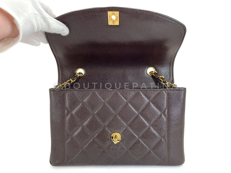 Chanel 1997 Vintage Brown Caviar Medium Diana Flap Bag 24k GHW 2C4
