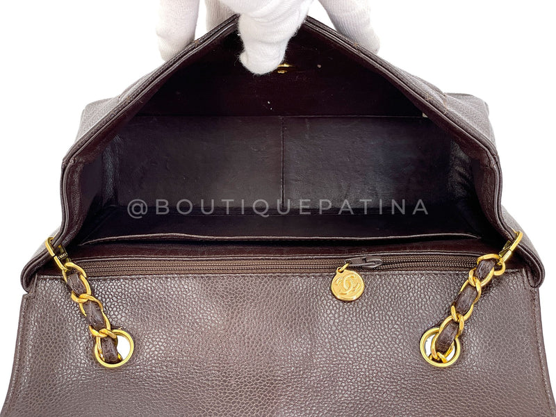 Chanel 1997 Vintage Brown Caviar Medium Diana Flap Bag 24k GHW 2C4