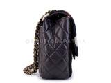 Chanel 14A Paris Dallas Metiers D'Art Pony Hair Flap Bag GHW QM2