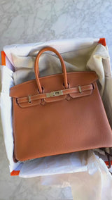 Hermès Gold Togo Beige Brown Birkin 25 Tote Bag Palladium PHW PPK