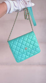 Chanel 19C Tiffany Blue Light Green Tall Wallet on Chain WOC Flap Bag GHW YWI