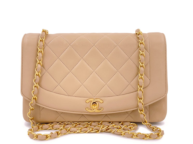 Chanel Matelasse Diana Flap Chain Shoulder Leather Shoulder Bag