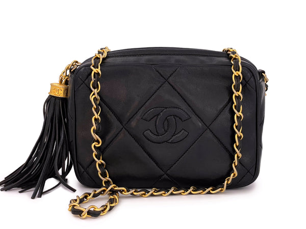 Vintage Chanel Camera Case Bags