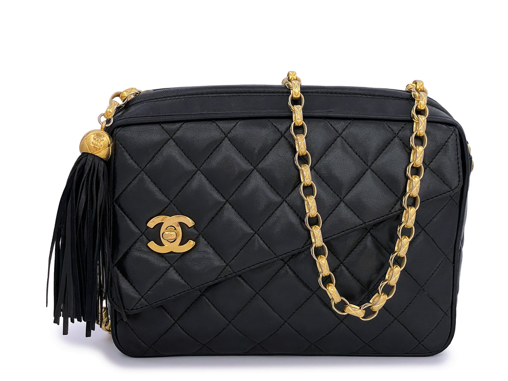 Chanel Pre-owned 1992 Chevron Bijoux Camera Bag