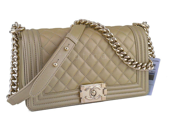 Chanel hot pink python boy bag, with champagne gold hardware