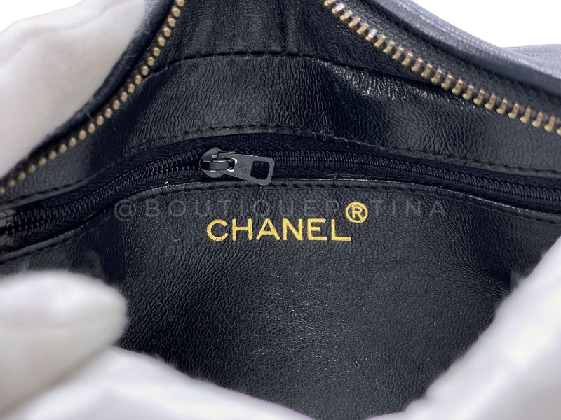 NWT Chanel 19 Large Lambskin Flap Shoulder Bag, Rare Color